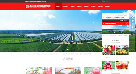 企業(yè)網(wǎng)站、程序軟件App解決方案